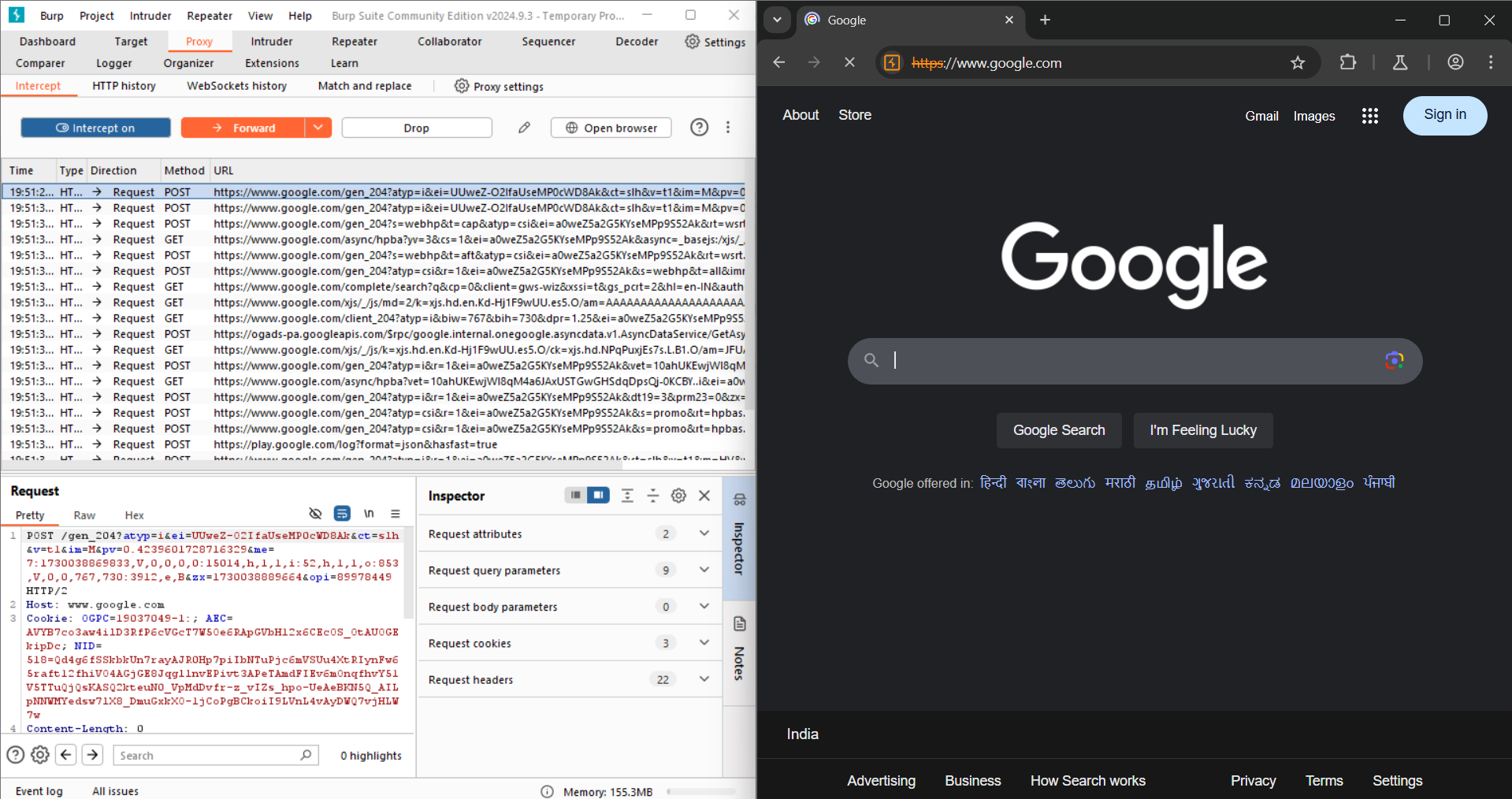 Burp Suite intercept demo